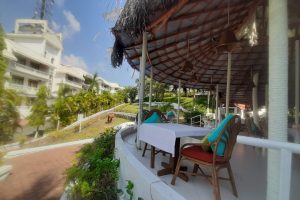 Dining in Nature ..Vegan Souls